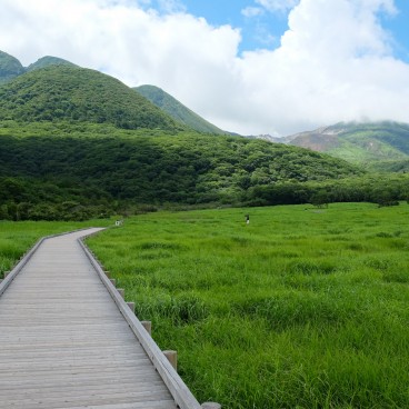 Tadewara Wetlands, Boardwalk (Oita)
