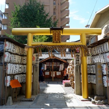 Mikane-jinja in Kyoto, Golden torii gate
