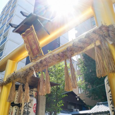 Mikane-jinja in Kyoto, Golden torii gate 2