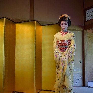 Villa Saito in Niigata, Geigi standing