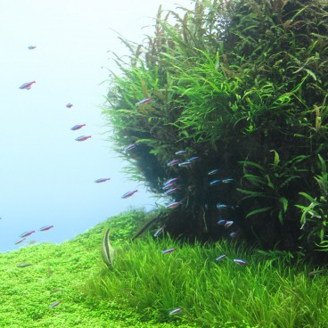 Sumida Aquarium Tokyo 1