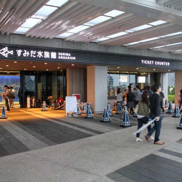 Sumida Aquarium Tokyo 14