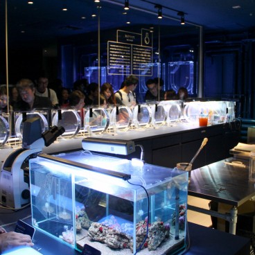 Sumida Aquarium Tokyo 2