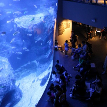 Sumida Aquarium Tokyo 4