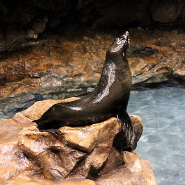 Sumida Aquarium Tokyo 8