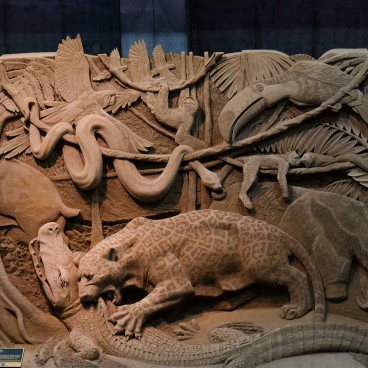 Tottori Sand Museum, South America (2016) 18