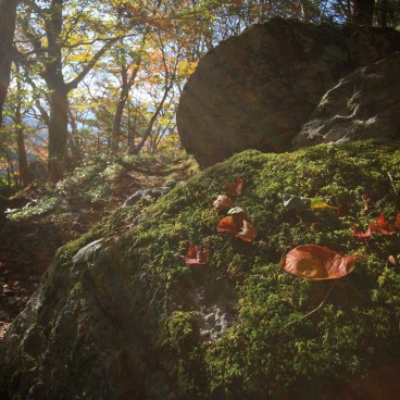 Mount Tsurugi (Shikoku), Autumn leaves
