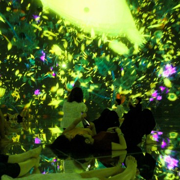 teamLab Planets (Tokyo), Floating in the Falling Universe of Flowers