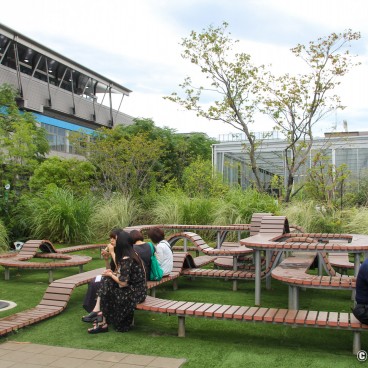 teamLab Planets (Tokyo), Outdoor picnic area