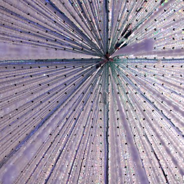 teamLab Planets (Tokyo), The Infinite Crystal Universe 6