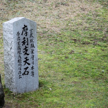 Kofuku-ji (Nara), Stele