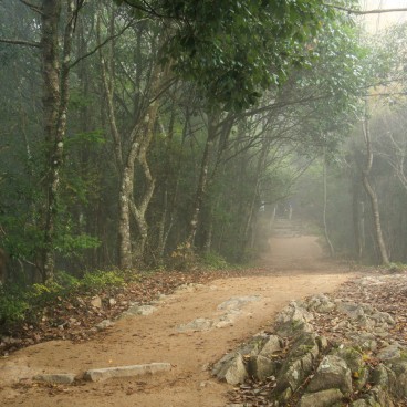 Bitchu Matsuyama Castle, foggy trail to the castle