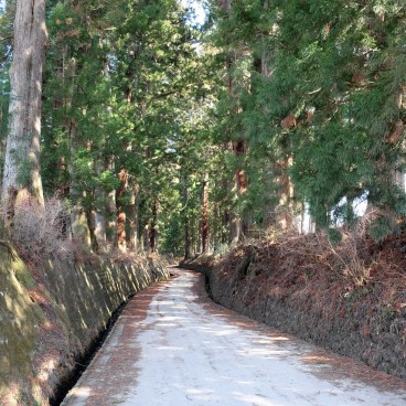 Nikko, Suginamiki Park 2