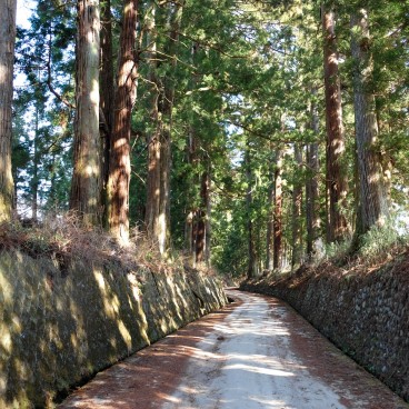 Nikko, Suginamiki Park