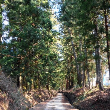 Nikko, Suginamiki Park 3