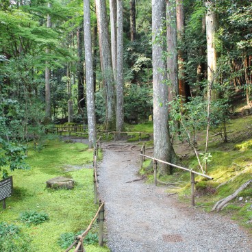 Ohara, Forest trail in Jakko-in