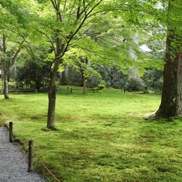 Ohara, Alley in Sanzen-in