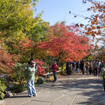 Showa Memorial Park (Tokyo), Japanese garden 6