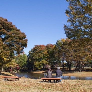 Showa Memorial Park (Tokyo) 2