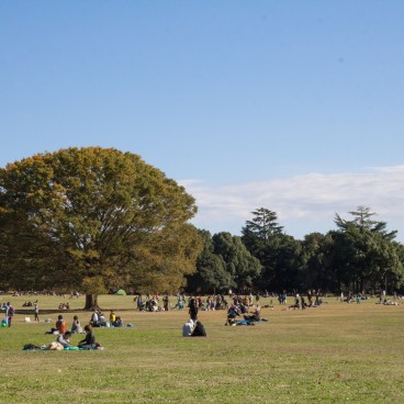Showa Memorial Park (Tokyo), Great prairie