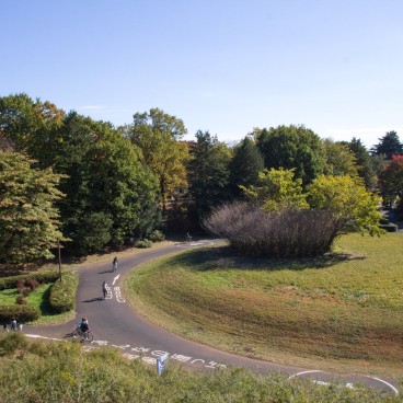 Showa Memorial Park (Tokyo), Cycling road