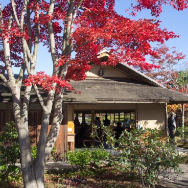 Showa Memorial Park (Tokyo), Japanese garden