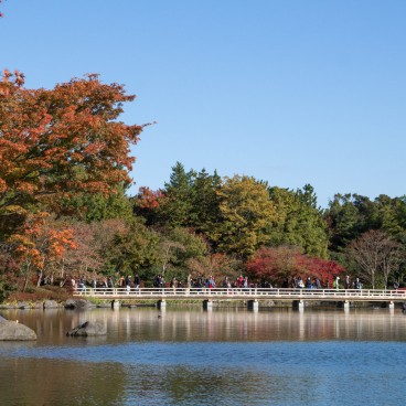 Showa Memorial Park (Tokyo), Japanese garden 3
