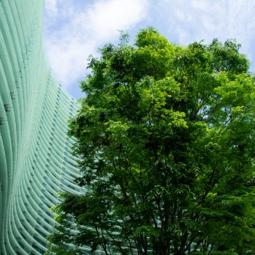 National Art Center Tokyo, View on the façade 2
