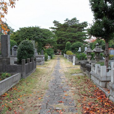 Aoyama Cemetery (Tokyo) in autumn