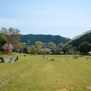 Asuka (Nara), Surroundings of Kofun Ishibutai tomb in spring 2