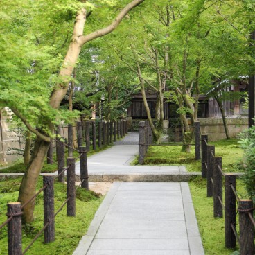 Eikan-do Temple (Kyoto), Alley lined with trees 2