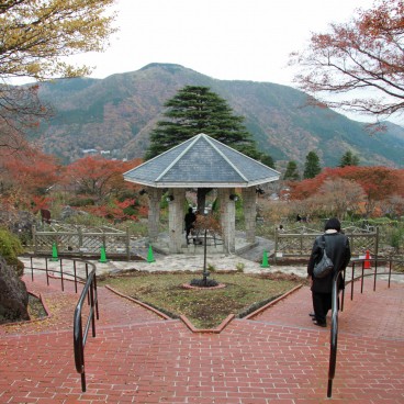 Gora Park (Hakone), View on the Himalayan cedar and the surroundings