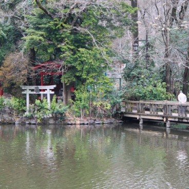 Inokashira Park, View on the pond and torii gates island