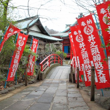 Inokashira Park, Paved path to Benzaiten temple 2