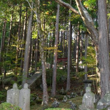 Choan-ji (Hakone), View on the forest and the statues
