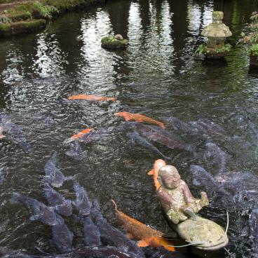 Choan-ji (Hakone), Rakan statue riding a catfish