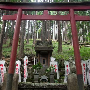 Choan-ji (Hakone), Toyokawa-jinja shrine