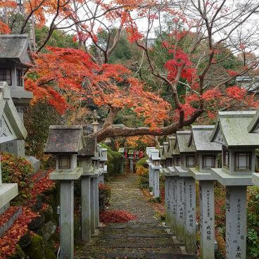 Chogosonshi-ji (Shigisan) in Nara 4