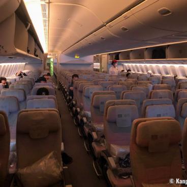 Travel during Covid pandemic, in the plane