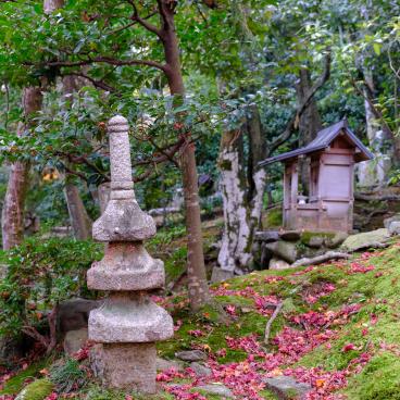Jojakko-ji (Kyoto) in Autumn