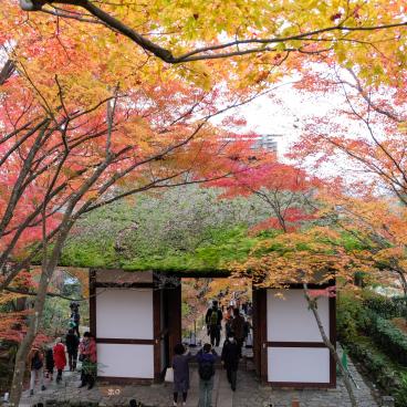 Jojakko-ji (Kyoto), Niomon Gate