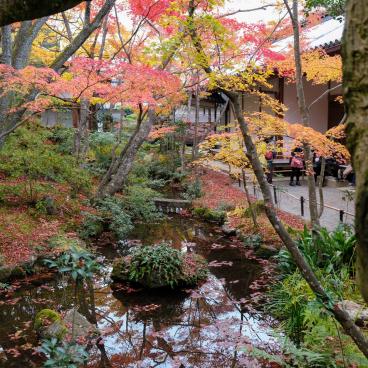 Jojakko-ji (Kyoto), Pond and koyo maple leaves
