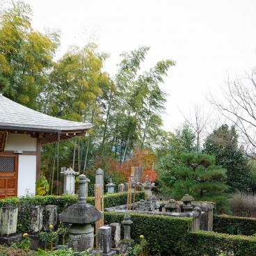 Jojakko-ji (Kyoto) in Autumn 2