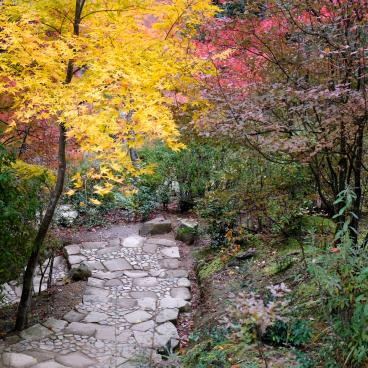 Jojakko-ji (Kyoto) in autumn 3