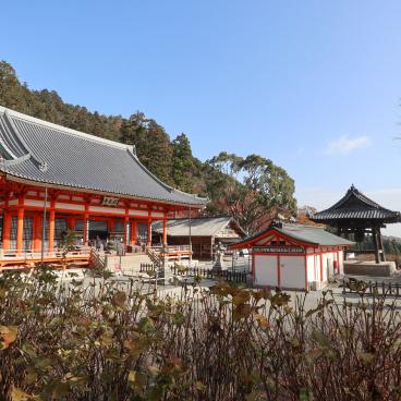 Katsuo-ji temple in Minoh (Osaka) in autumn 5