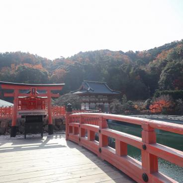 Katsuo-ji temple in Minoh (Osaka) in autumn 10