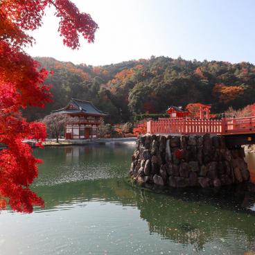 Katsuo-ji temple in Minoh (Osaka), Red maple trees in November 7