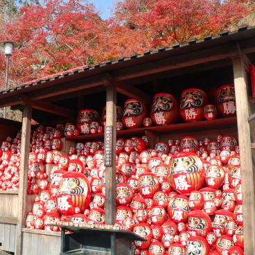 Katsuo-ji temple in Minoh (Osaka), Daruma dolls whose wishes were fulfilled