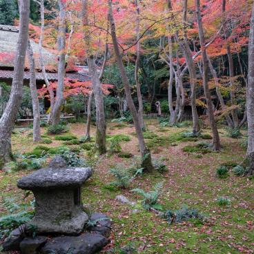 Gio-ji, moss and maple trees' temple in Arashiyama (Kyoto) 2