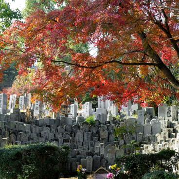 Mitaki-dera (Hiroshima), Buddhist cemetery
